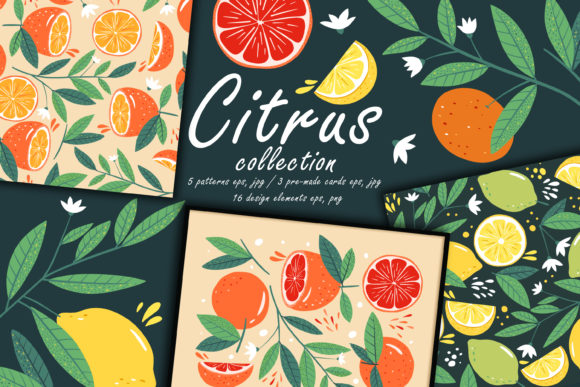 Citrus Collection Botany Modern Pattern