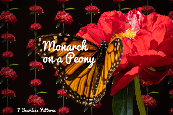 Monarch on a Peony Design Collection